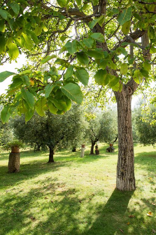 Il Casale Degli Ulivi B&B Асколі-Пічено Екстер'єр фото